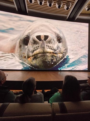 2025-01-23-12.44.48Pictures shown at the captain reception as we left Antarctica