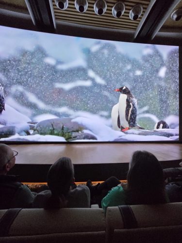 2025-01-23-12.44.49Pictures shown at the captain reception as we left Antarctica