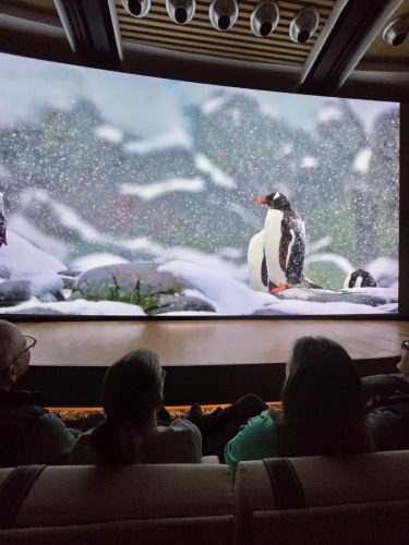 2025-01-23-12.44.50Pictures shown at the captain reception as we left Antarctica
