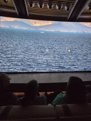 2025-01-23-12.45.17Pictures shown at the captain reception as we left Antarctica