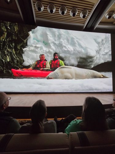 2025-01-23-12.45.50Pictures shown at the captain reception as we left Antarctica
