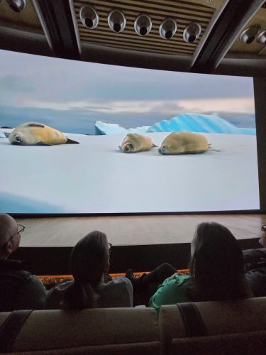 2025-01-23-12.45.51Pictures shown at the captain reception as we left Antarctica