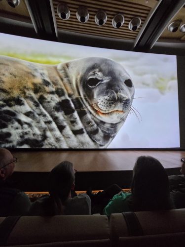 2025-01-23-12.45.55Pictures shown at the captain reception as we left Antarctica