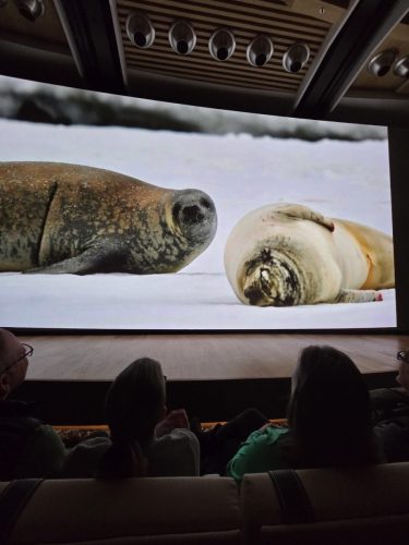2025-01-23-12.45.56Pictures shown at the captain reception as we left Antarctica
