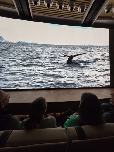 2025-01-23-12.46.10-1Pictures shown at the captain reception as we left Antarctica
