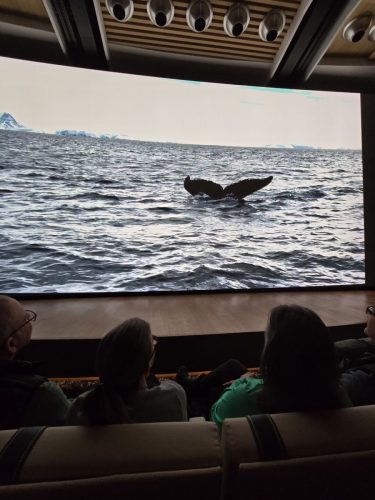 2025-01-23-12.46.10Pictures shown at the captain reception as we left Antarctica