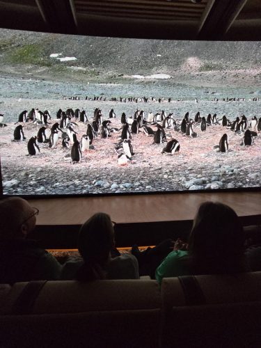 2025-01-23-12.47.39Pictures shown at the captain reception as we left Antarctica