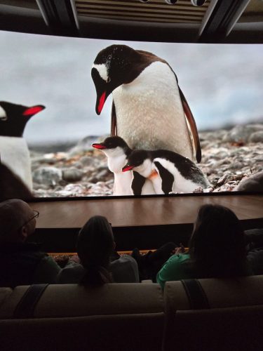 2025-01-23-12.47.42Pictures shown at the captain reception as we left Antarctica