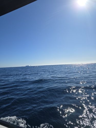 2025-01-21-09.36.11-20