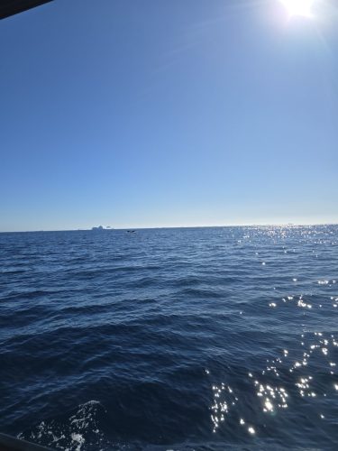 2025-01-21-09.36.12-6