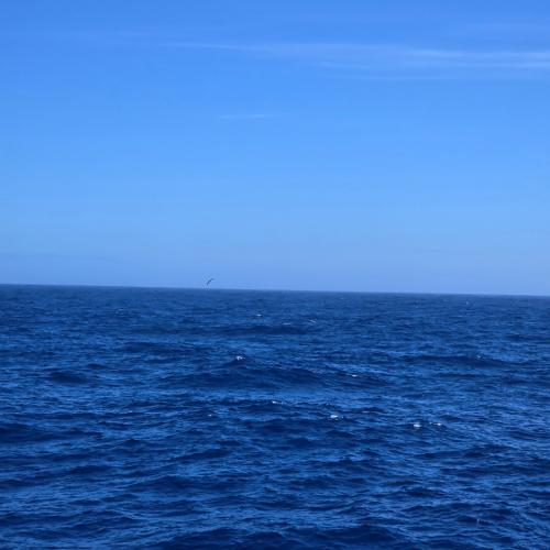 IMG 20250410 213308 1080 x 1080 pixel
