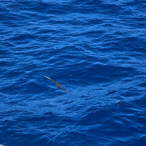 IMG 20250410 213340 1080 x 1080 pixel